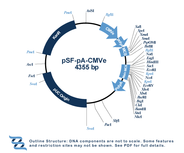 OXF graphics