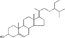 SSX社 グラフィックス