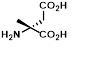 FN-JJDA