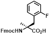 FN-JJIF